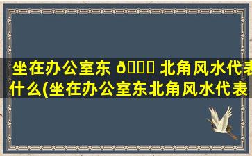 坐在办公室东 🐈 北角风水代表什么(坐在办公室东北角风水代表什么意思 💮 )